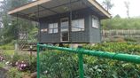 Land for Sale Hatton
