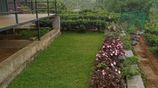 Land for Sale Hatton