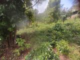 Land for Sale Hedeniya