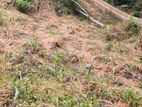 Land for Sale, Hedeniya Katugastota