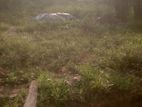 Land for Sale Hibutana
