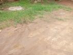 Land for Sale Hibutana