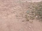 Land for Sale Hibutana