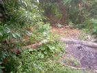 Land for Sale Hibutana