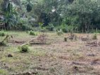Land For Sale Hidellana Ratnapura