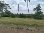 Land for Sale Hirana Panadura