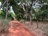 land for sale Hiriwadunna