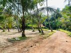 Land for Sale හලාවත