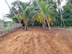 Land for Sale හලාවත