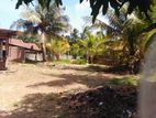 Land For Sale - හලාවත නගර සීමාවෙන් වටිනා ඉඩමක්