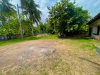 Land For Sale - (හලාවත නගරයෙන් සුපිරි ඉඩමක්)