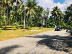 Land for Sale හල්තොට