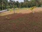 Land for sale hokandara Extent 08 Lot No 04