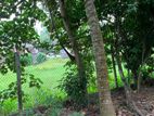 Land for Sale Hokandara