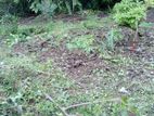 Land for Sale Hokandara