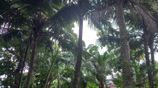 Land for Sale – Hokandara South (Off Lake Road)