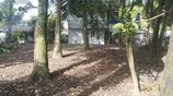 Land for Sale – Hokandara South (Off Lake Road)