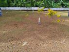 Land for sale hokandara thalawathugoda Lot No 18