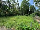 Land for Sale Homagama Diyagama 28,තලගල/කොට්ටාව බස් පාරට 500m