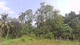 Land for Sale - Homagama Dolahena