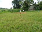 Land for Sale Homagama