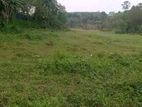 Land for Sale Homagama.