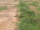 Land for Sale Homagama