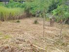 Land for Sale Homagama