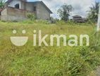 Land For Sale - Homagama