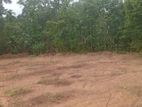 Land for Sale Homagama