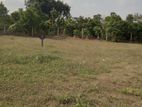 Land for Sale Homagama