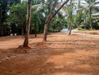 Land for Sale Homagama