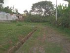 Land for Sale Homagama