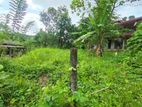 LAND FOR SALE HOMAGAMA