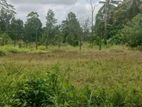 Land for Sale Homagama