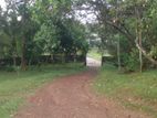 Land for Sale Homagama