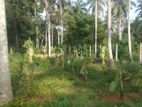 Land for Sale Homagama