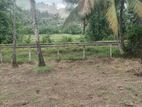 Land for Sale Homagama