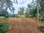 Land for Sale Homagama