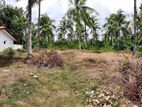 Land for Sale Homagama