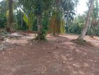 Land for Sale Homagama