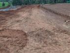 Land for Sale Homagama