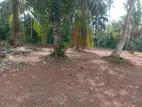 Land for Sale Homagama