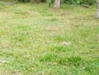 Land for Sale Homagama