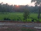 Land for Sale Homagama