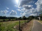 Land for Sale Homagama