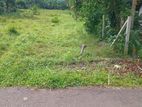 Land for Sale Homagama