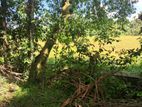 Land for Sale Homagama