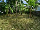 Land for Sale Homagama