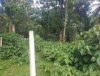 Land For Sale Homagama Moragahahena Town